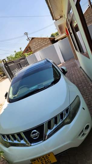 A picture of Nissan murano