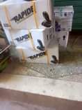 A picture of Spare Parts za bajaj na Pikipiki