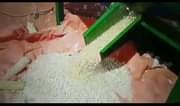 A picture of MAIZE SHELLER