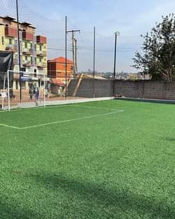A picture of Artificial grass carpets or Artificial turf