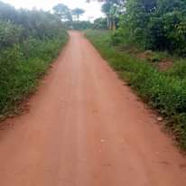 A picture of 200acres on sale all at 2.4bn few kilometers from kikyusa