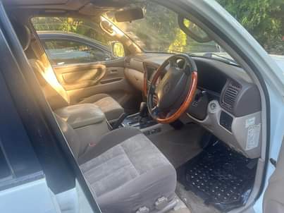 A picture of Land Cruiser