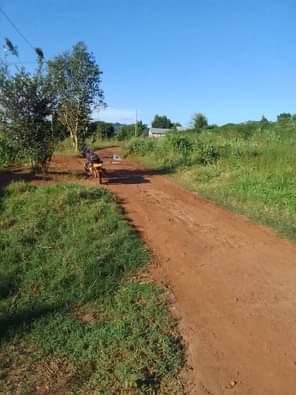 A picture of ANTI MR PROPERTY MANAGEMENT PLOT FOR SALE WITH THAT SMALL