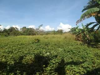 A picture of 90ft by 180ft on sale in Kisoga mukono.18m