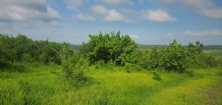 A picture of Shamba la eka 250 linauzwa Kiwangwa