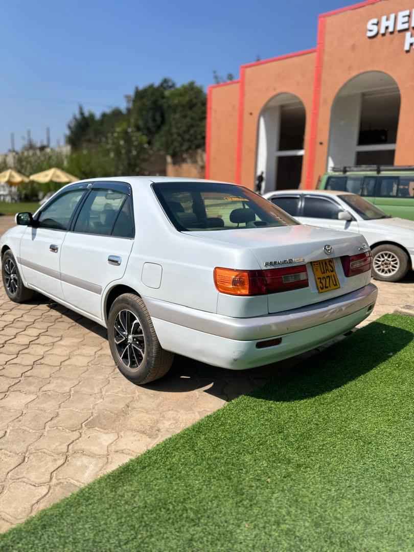 A picture of Cars