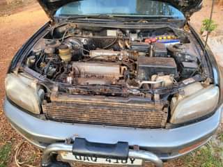 A picture of Rav4