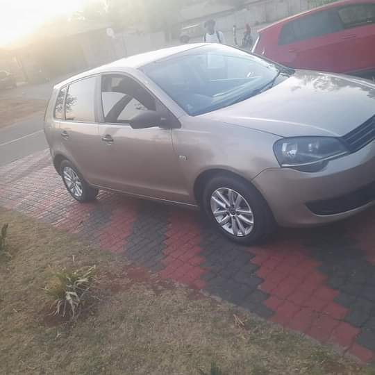 polo vivo