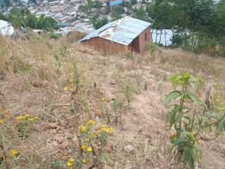houses for sale