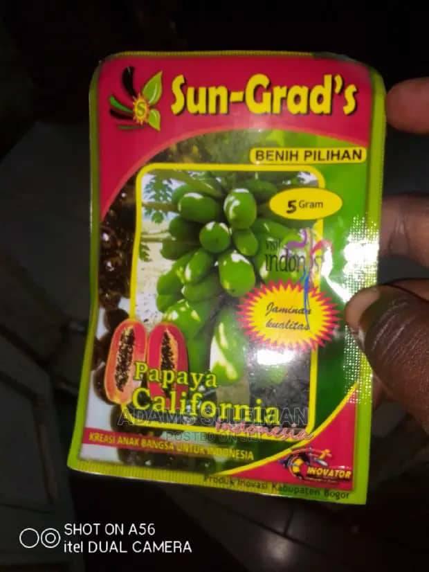 seeds