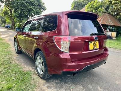 subaru forester