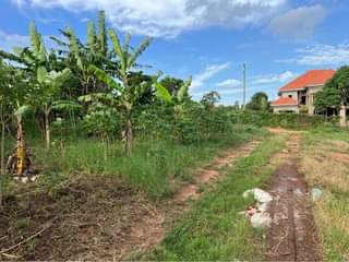 A picture of Titled plot at 50m Kiwenda
