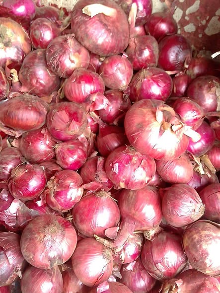 A picture of Dry onions from Kenya en Tanzania