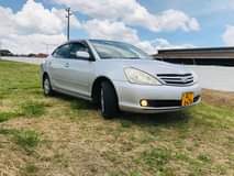 used toyota allion