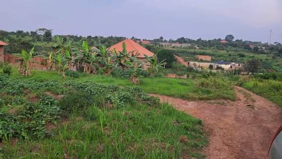 A picture of 0774591471 0709106274.. WAKISO PLOTS FOR SALE 40X40FT 10M UGX THOUGH