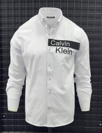 A picture of Shirt