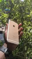 A picture of iPhone 6 plus