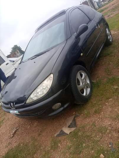 A picture of Peuoget 206