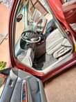 A picture of Belgium grade Camry big daddy