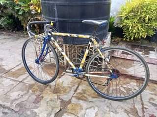 A picture of Road bike