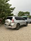 A picture of Prado 2014