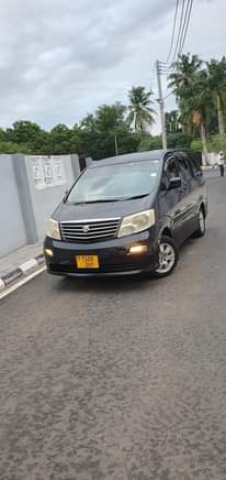 A picture of ALPHARD INAUZWA BEI ML 13.8 0712445511