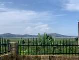 A picture of House for sale at 650m ush at Bweya Kajjansi Entebbe