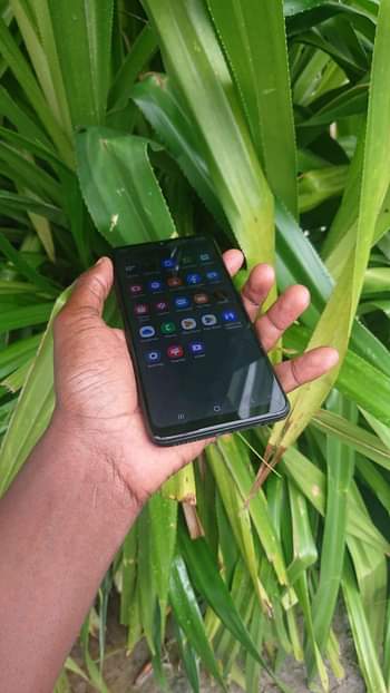 A picture of SAMSUNG A20S