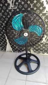 fans