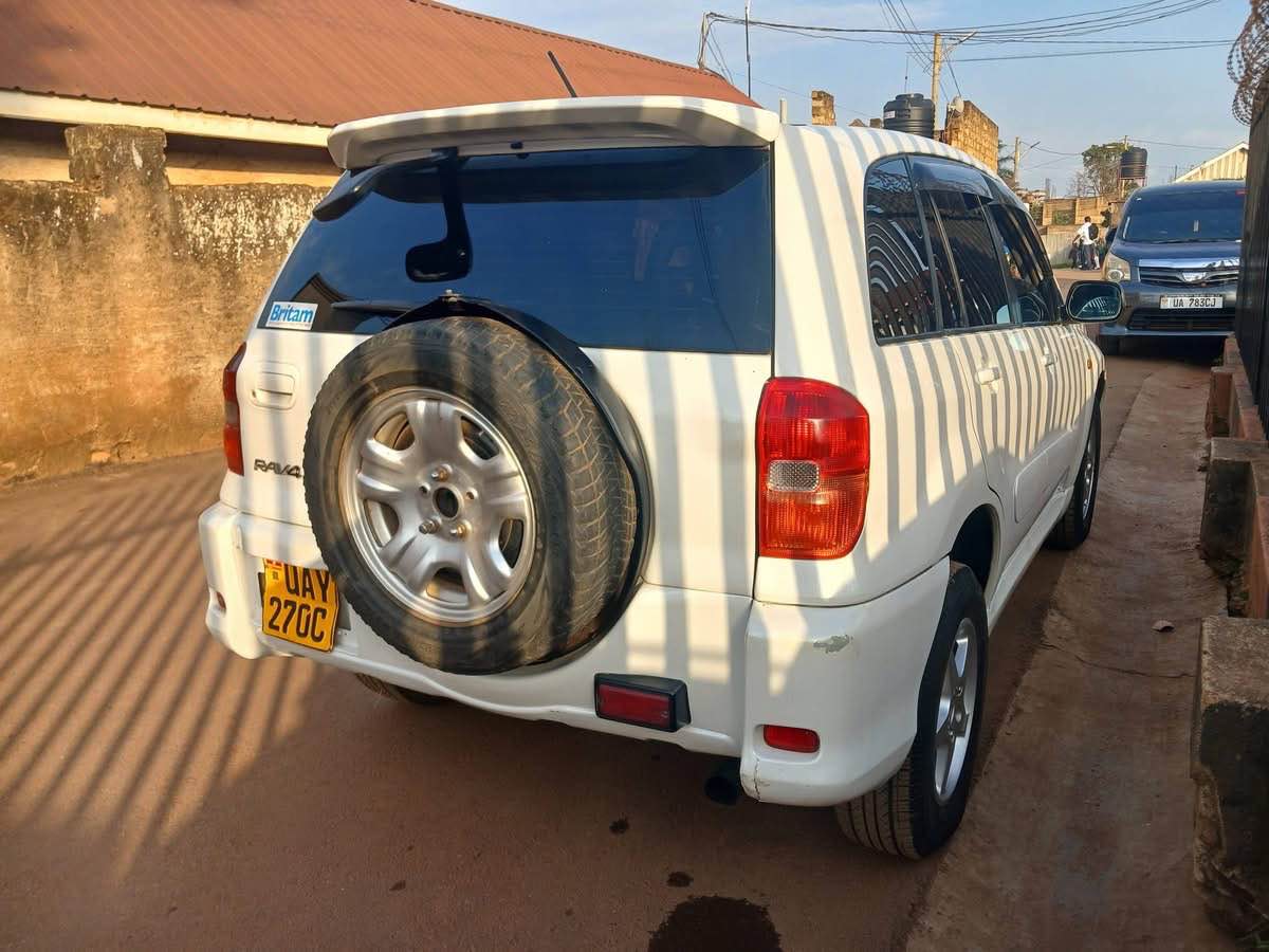 A picture of Rav4