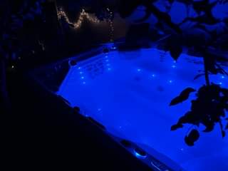 A picture of Master Spas Therapool D
