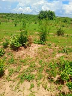 mwembeshi