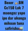 A picture of Boxer CC 150 ipo gongo la mboto Call 0716745714 WhatsApp