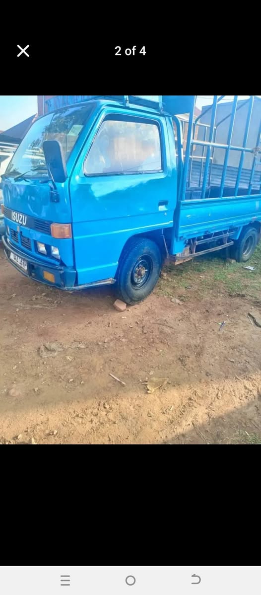 A picture of Isuzu for sale 13m