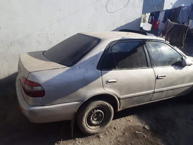 zed cars_under_20pin