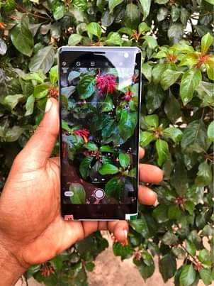 sony xperia