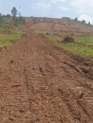 A picture of Private Mailo land in Kiti town