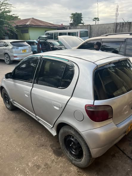 A picture of Vitz