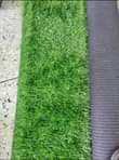 A picture of Artificial grass carpet 0705374901 0776763178