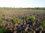 A picture of 0765291521 0679291521 SHAMBA HEKA 10 MWANZOMGUMU CHANIKA