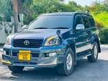 A picture of Prado Tx new model