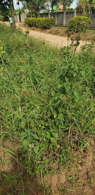A picture of 3Plots for sale located garuga entebbe road just one km