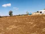 A picture of VIWANJA VIWANJA KISONGO ARUSHA