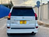 A picture of Prado 120