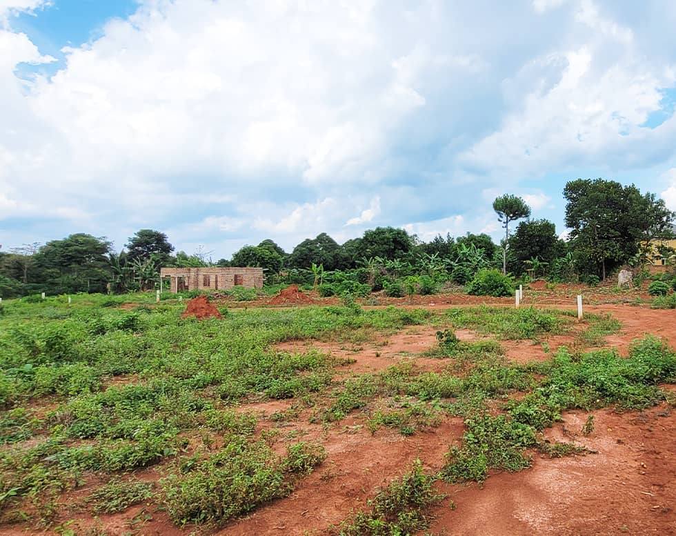 A picture of New prime land at UGX10m 0743362384