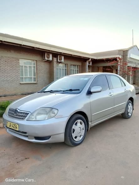 used toyota corolla
