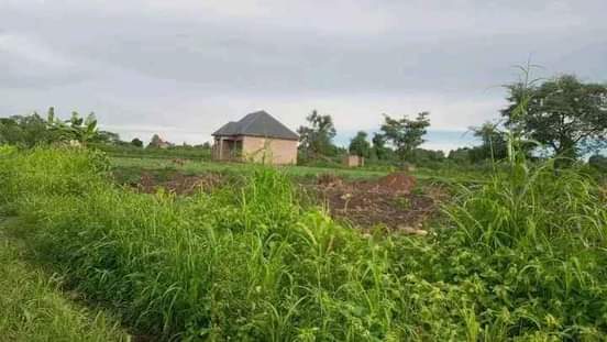 A picture of Busunju namigavu