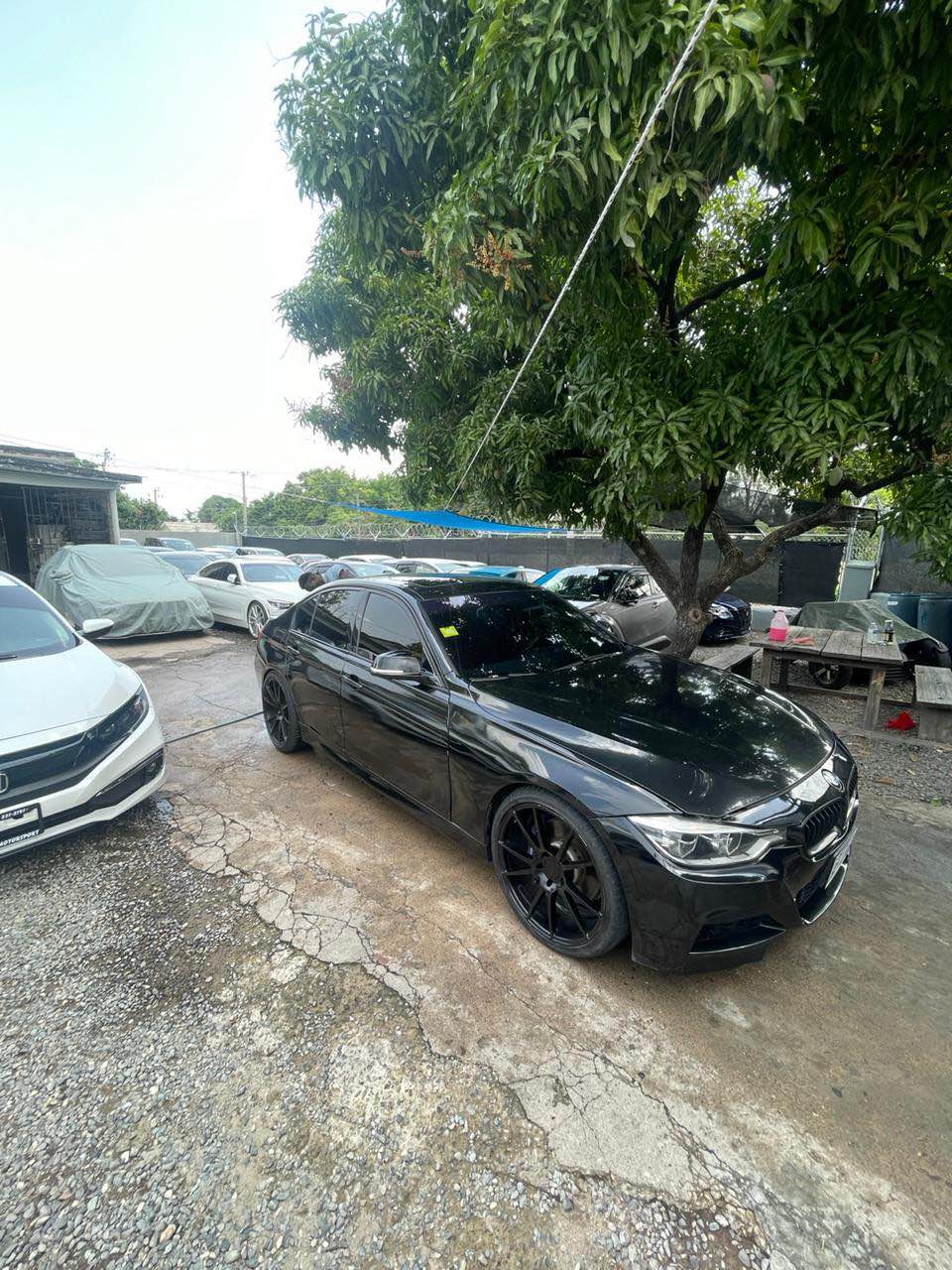 2016 cars