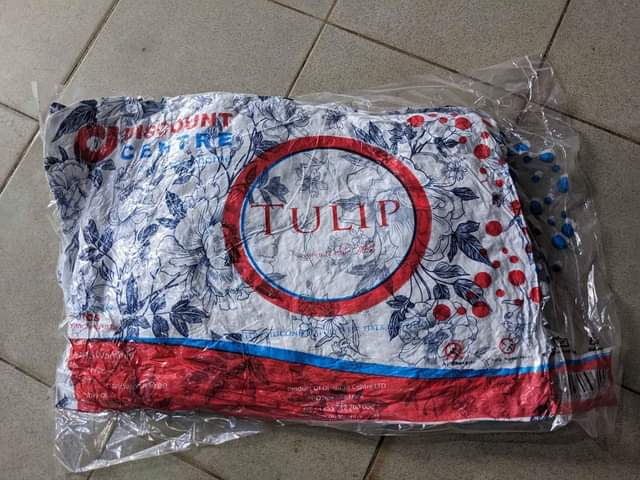 A picture of Pillow Tulip
