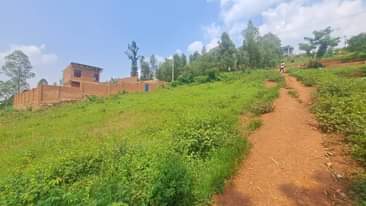 A picture of plot for sale